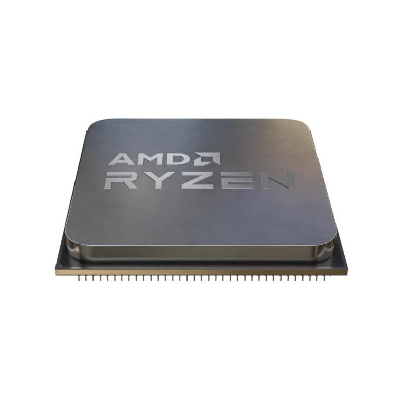 AMD Ryzen 5 5500