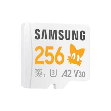 Samsung MB-MD256S 256 Go MicroSDXC UHS-I Classe 10