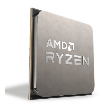 AMD Ryzen 5 5600G Version Tray