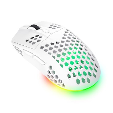 Trust GXT 929 Helox souris Gaming Droitier RF sans fil Optique 4800 DPI