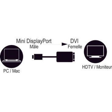 MCL CG-293CAZ câble vidéo et adaptateur 0,15 m Mini DisplayPort DVI Blanc
