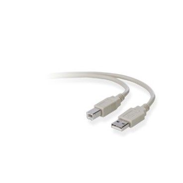 Belkin USB A B 1.8m câble USB 1,8 m USB 2.0 USB B Gris