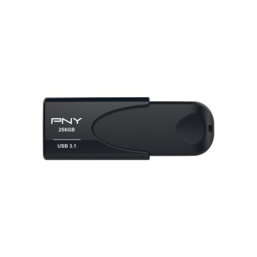PNY Attache 4 lecteur USB flash 256 Go USB Type-A 3.2 Gen 1 (3.1 Gen 1) Noir