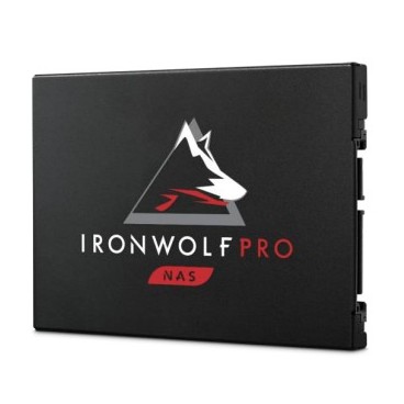 Seagate IronWolf 125 Pro 2.5" 480 Go Série ATA III 3D TLC