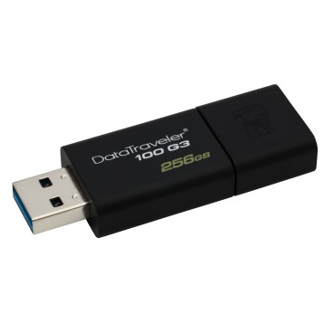 Kingston Technology DataTraveler 100 G3 lecteur USB flash 256 Go USB Type-A 3.2 Gen 1 (3.1 Gen 1) Noir