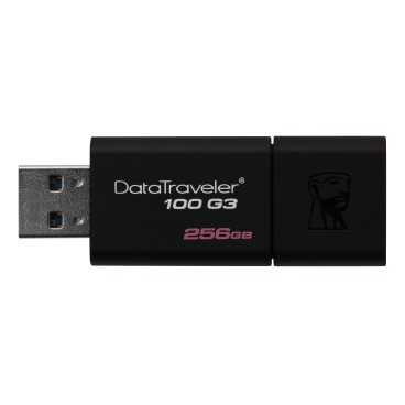 Kingston Technology DataTraveler 100 G3 lecteur USB flash 256 Go USB Type-A 3.2 Gen 1 (3.1 Gen 1) Noir