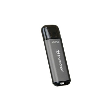 Transcend JetFlash 920 lecteur USB flash 256 Go USB Type-A 3.2 Gen 1 (3.1 Gen 1) Gris