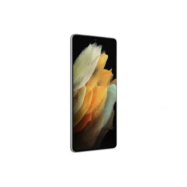 Samsung Galaxy S21 Ultra 5G SM-G998B 17,3 cm (6.8") Double SIM Android 11 USB Type-C 16 Go 512 Go 5000 mAh Argent