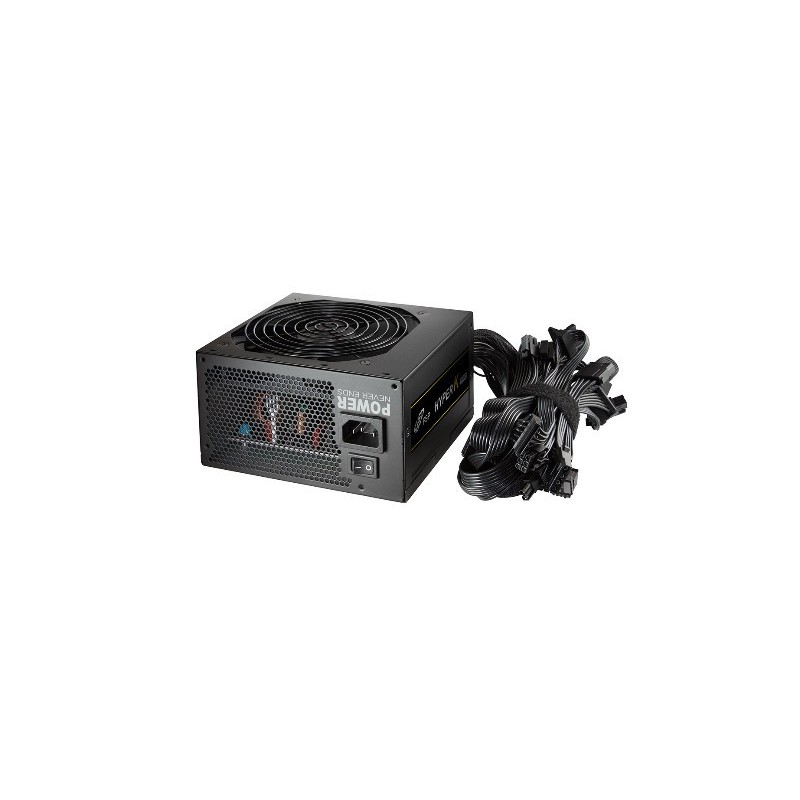 FSP Fortron HK-500 unité d'alimentation d'énergie 500 W 20+4 pin ATX ATX Noir