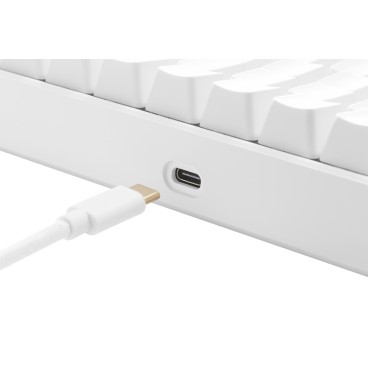 Deltaco GAM-100-W-FR clavier USB + Bluetooth QWERTZ Français Blanc