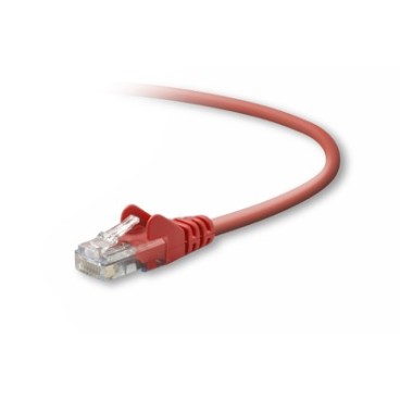 Belkin UTP CAT5e 5 m câble de réseau Rouge U UTP (UTP)