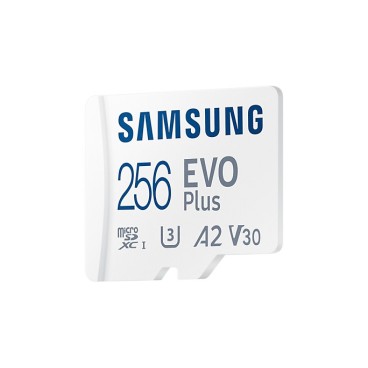 Samsung EVO Plus 256 Go MicroSDXC UHS-I Classe 10
