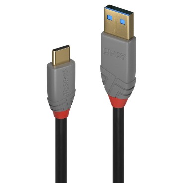Lindy 36911 câble USB 1 m USB C USB A Noir, Gris