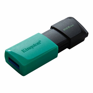 Kingston Technology DataTraveler Exodia M lecteur USB flash 256 Go USB Type-A 3.2 Gen 1 (3.1 Gen 1) Noir, Turquoise