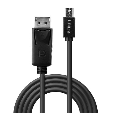 Lindy 41646 câble DisplayPort 2 m Mini DisplayPort Noir