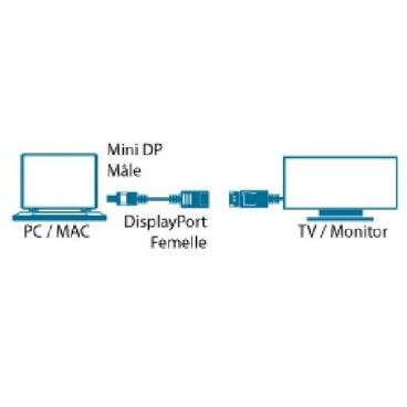 MCL MC396-0.15M câble DisplayPort 0,15 m Mini DisplayPort Noir