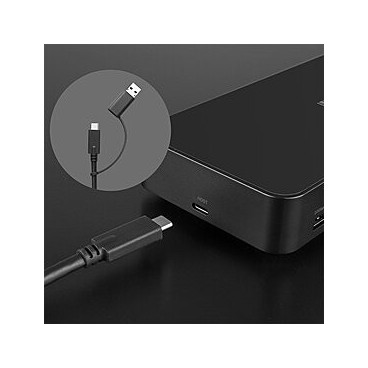 Lindy DST-Pro Universal Station d'accueil USB 3.2 Gen 2 (3.1 Gen 2) Type-C Noir
