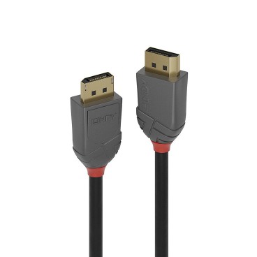 Lindy 36481 câble DisplayPort 1 m Noir, Gris
