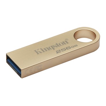 Kingston Technology DataTraveler 256Go 220Mo s Clé USB 3.2 Gen 1 Métal SE9 G3