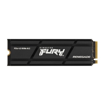 Kingston Technology 1000G RENEGADE PCIe 4.0 NVMe SSD W  Radiateur de dissipation thermique