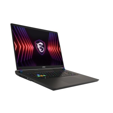 MSI Vector 17 HX A14VGG-210FR Intel® Core™ i9 i9-14900HX Ordinateur portable 43,2 cm (17") Quad HD+ 32 Go DDR5-SDRAM 1 To SSD