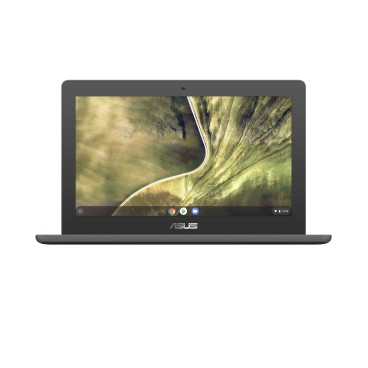 ASUS Chromebook C204MA-GJ0438 Intel® Celeron® N N4020 29,5 cm (11.6") HD 4 Go LPDDR4-SDRAM 32 Go eMMC Wi-Fi 5 (802.11ac)