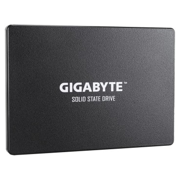 GIGABYTE GP-GSTFS31256GTND disque SSD 256 Go 2.5" Série ATA III V-NAND