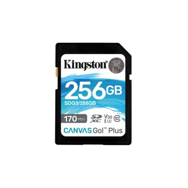 Kingston Technology Carte SDXC Canvas Go Plus 170R C10 UHS-I U3 V30 de 256 Go