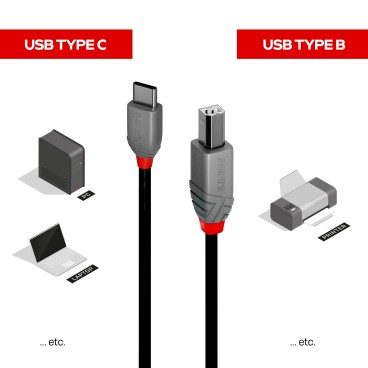 Lindy 36943 câble USB USB 2.0 3 m USB C USB B Noir