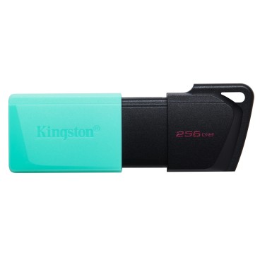 Kingston Technology DataTraveler 256GB USB3.2 Gen1 Exodia M (Noir + Turquoise)