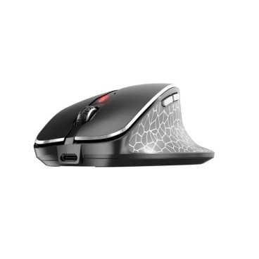 CHERRY MW 8C ERGO souris Droitier RF sans fil + Bluetooth Optique 3000 DPI