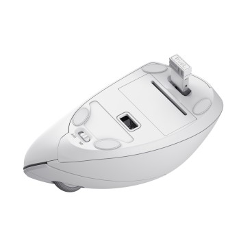 Trust Verto souris Bureau Droitier RF sans fil Optique 1600 DPI