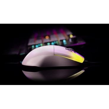 ROCCAT Kone Pro souris Jouer Droitier USB Type-A Optique 19000 DPI