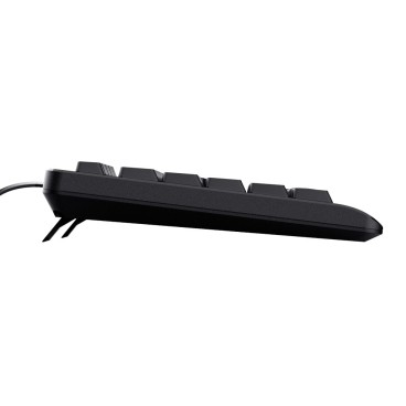 Trust TK-150 clavier Bureau USB Français Noir