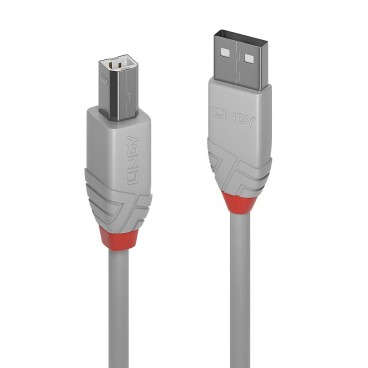 Lindy 36684 câble USB USB 2.0 3 m USB A USB B Gris