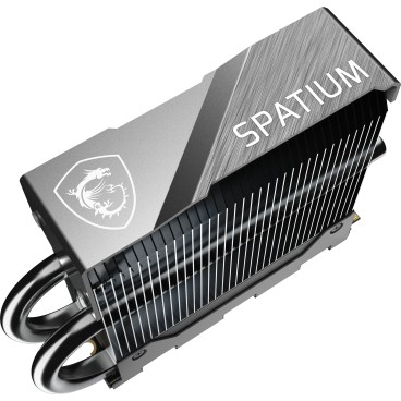 MSI SPATIUM M570 PRO PCIE 5.0 NVME M.2 2TB FROZR disque SSD 2 To PCI Express 5.0 3D NAND