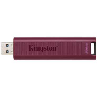 Kingston Technology DataTraveler 256GB Max Type-A 1000R 900W USB 3.2 Gen 2