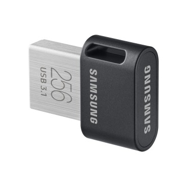 Samsung MUF-256AB lecteur USB flash 256 Go USB Type-A 3.2 Gen 1 (3.1 Gen 1) Gris, Argent