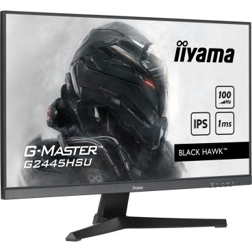 iiyama G-MASTER écran plat de PC 61 cm (24") 1920 x 1080 pixels Full HD LED Noir