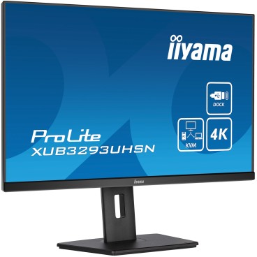 iiyama ProLite XUB3293UHSN-B5 écran plat de PC 80 cm (31.5") 3840 x 2160 pixels 4K Ultra HD LCD Noir