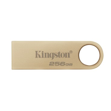 Kingston Technology DataTraveler 256Go 220Mo s Clé USB 3.2 Gen 1 Métal SE9 G3