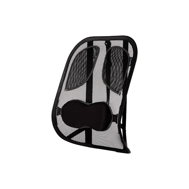 Fellowes Support Dorsal Maille Professional Series