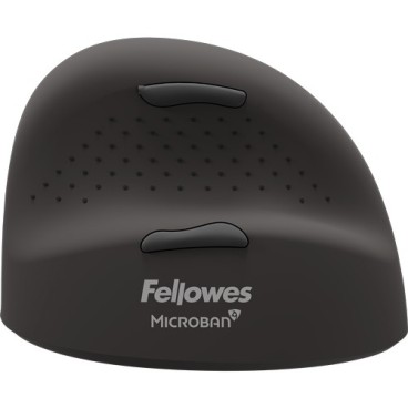 Fellowes 100143582 souris Universel Droitier Bluetooth + USB Type-C Optique 2400 DPI