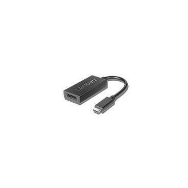 Lenovo 4X90Q93303 câble vidéo et adaptateur 0,2 m USB Type-C DisplayPort Noir