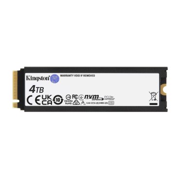 Kingston Technology 4000G RENEGADE PCIe 4.0 NVMe SSD W  Radiateur de dissipation thermique