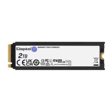 Kingston Technology 2000G RENEGADE PCIe 4.0 NVMe SSD W  Radiateur de dissipation thermique