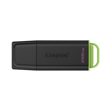 Kingston Technology DataTraveler 256Go Stockage portable USB 3.2 Gen 1 Exodia Noir + Vert
