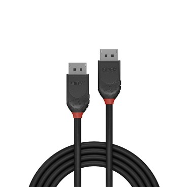 Lindy Câble DisplayPort 1.2, Black Line, 1m
