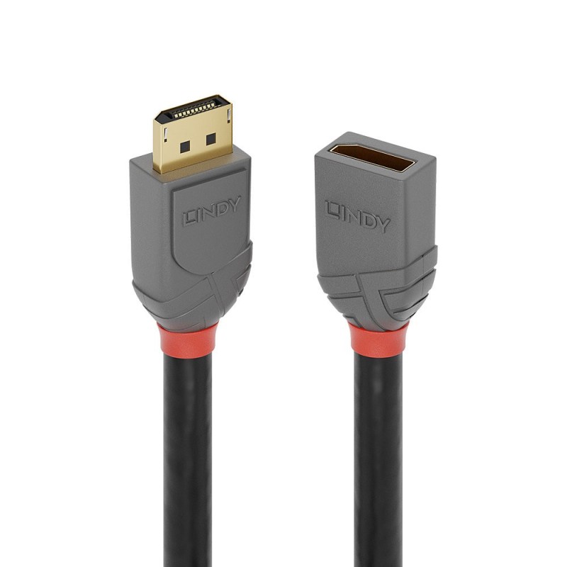 Lindy Rallonge DisplayPort Anthra Line, 0.5m