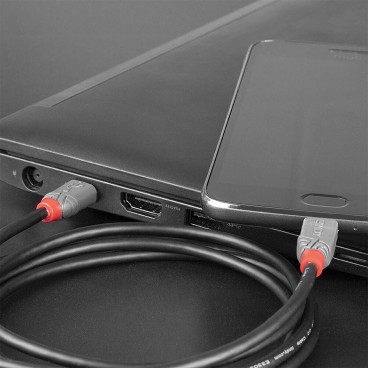 Lindy Câble USB 2.0 Type C vers Micro-B, Anthra Line, 2m